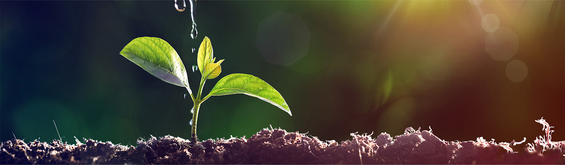 湖北微控生物科技有限公司